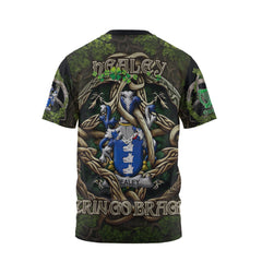 Healey or O Healey T-Shirts Ireland Is My Root Style